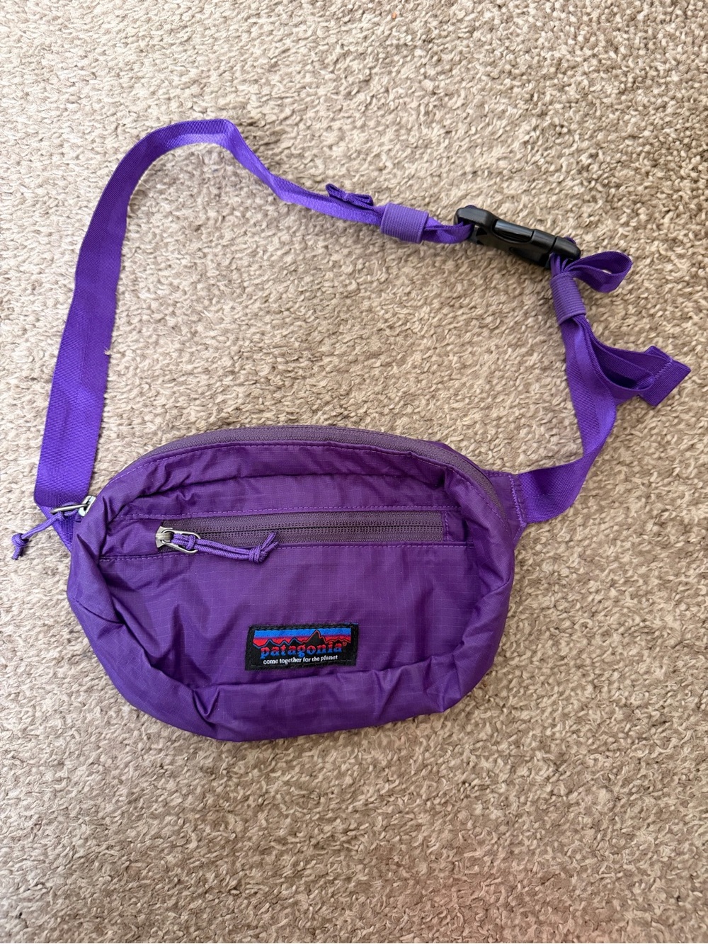 Rare Patagonia “Come together for the planet” special edition label Hip Pack